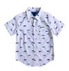 item_1_15314.jpg
